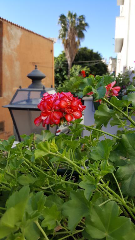 Al Sale Bed & Breakfast Cagliari Exterior photo